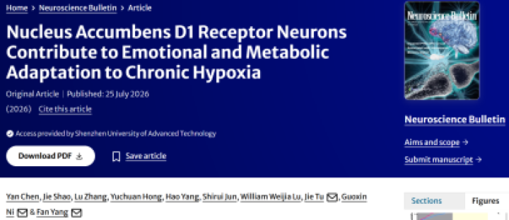 Neuroscience Bulletin丨深圳先进院提出伏隔核神经元调节低氧诱发的行为与代谢异常