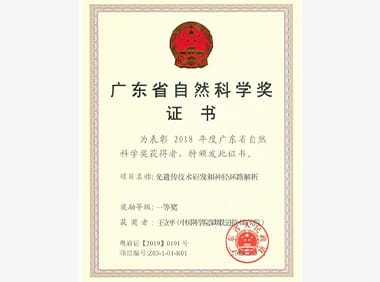 2018年度广东省⾃然科学奖⼀等奖-光遗传技术研发和神经环路解析 项目